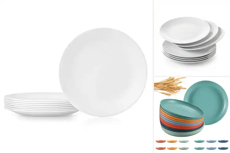 Detailed view of Best Lightweight Plates for Everyday Ease
