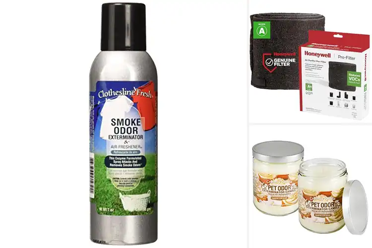 Detailed view of Best Odor Reducing Products: 10 Top Picks for a Fresh Home