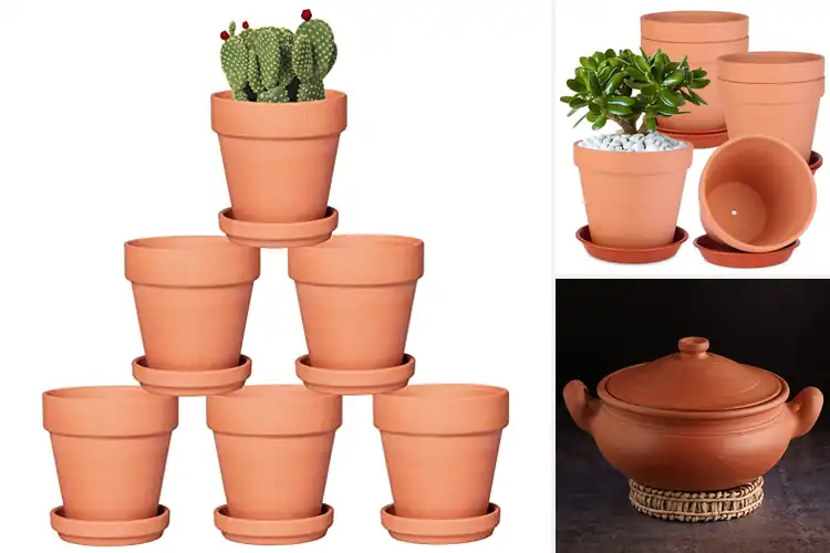 Detailed view of Best Organic Clay Pots