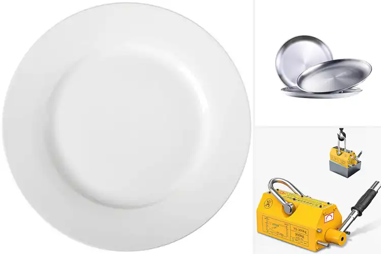 Detailed view of Best Permanent Plates: Durable Choices You’ll Love Daily
